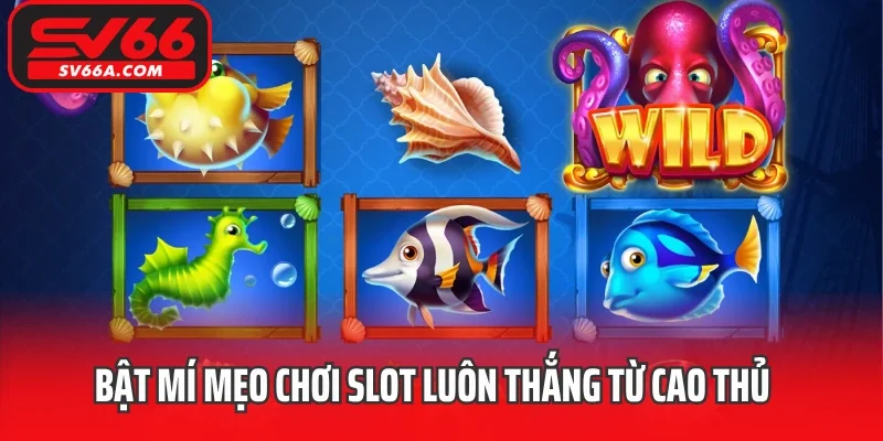 Bật mí mẹo chơi slot luôn thắng từ cao thủ