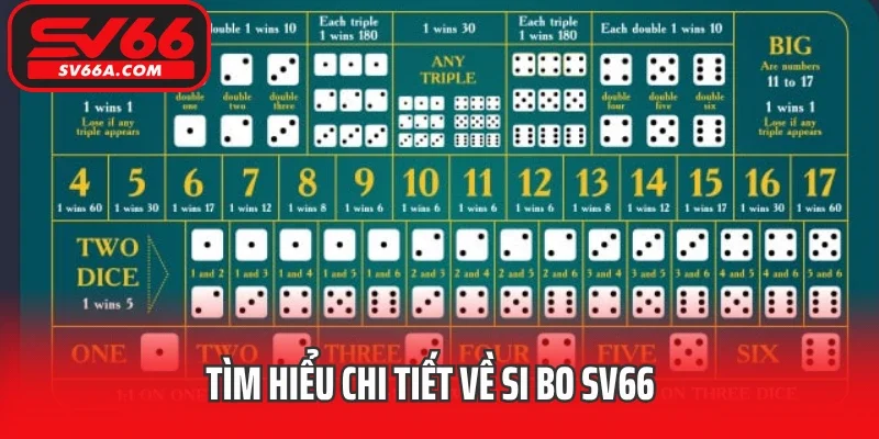 Tìm hiểu chi tiết về Si bo SV66